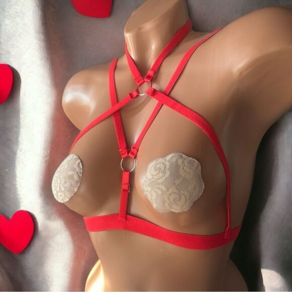 Other - Custom 3-piece Intimates l Lot l Deluxe Harness l Bra l Nipple Covers l New